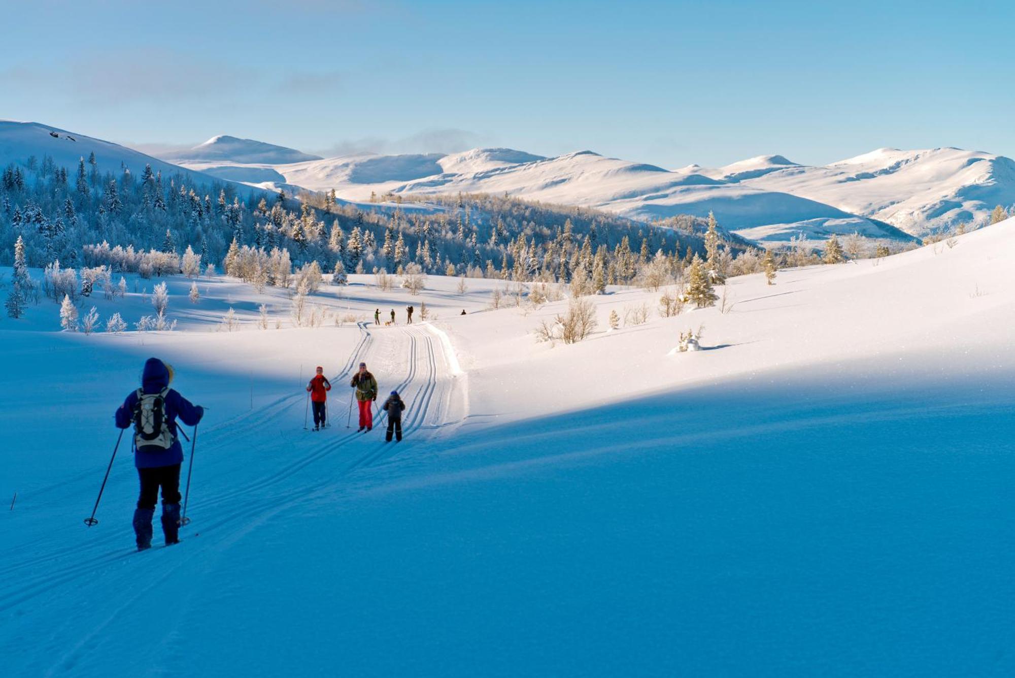 Spidsbergseter Resort Rondane Venabygd Esterno foto