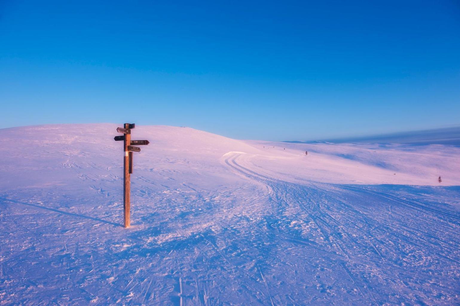 Spidsbergseter Resort Rondane Venabygd Esterno foto