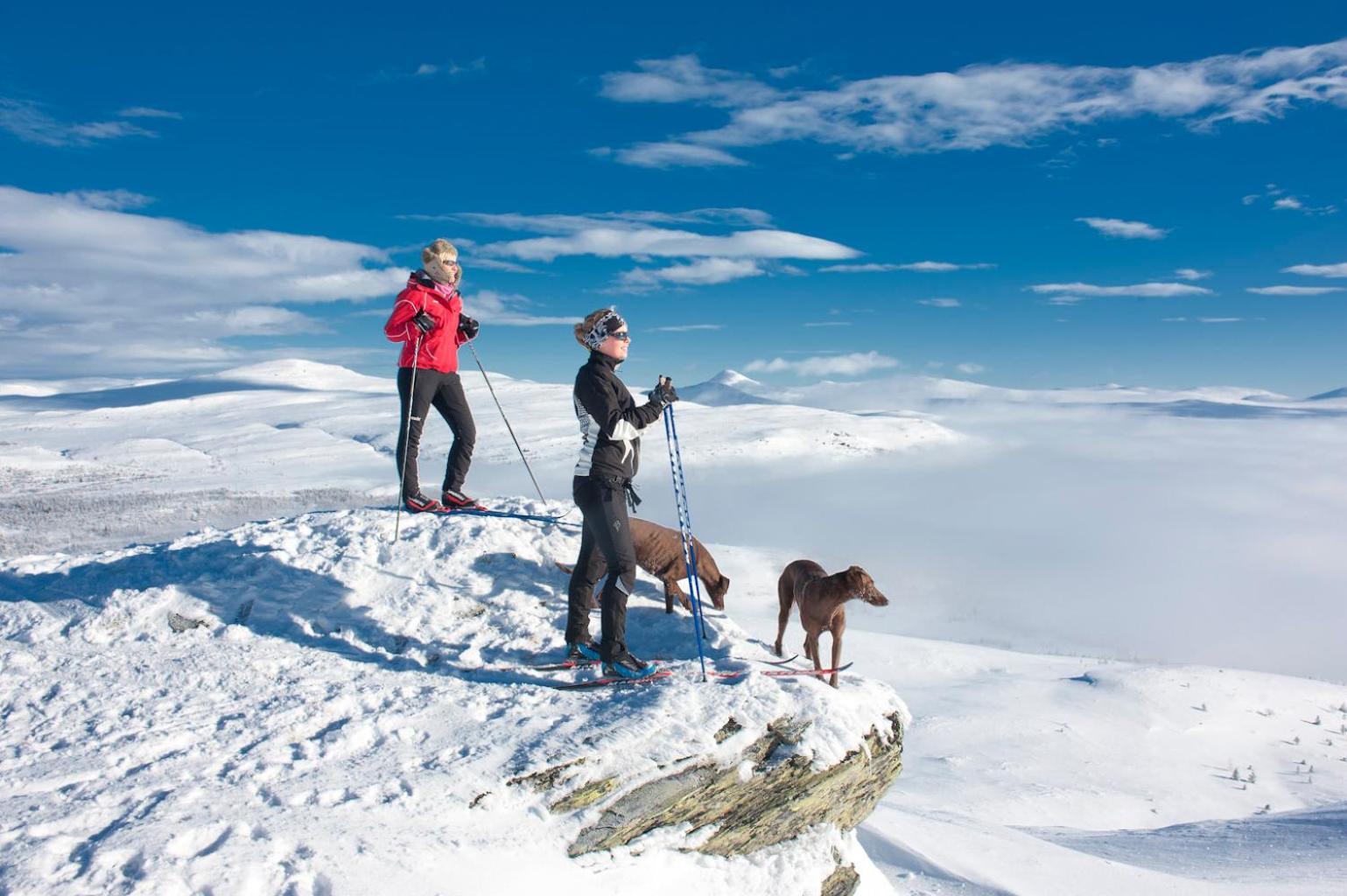 Spidsbergseter Resort Rondane Venabygd Esterno foto