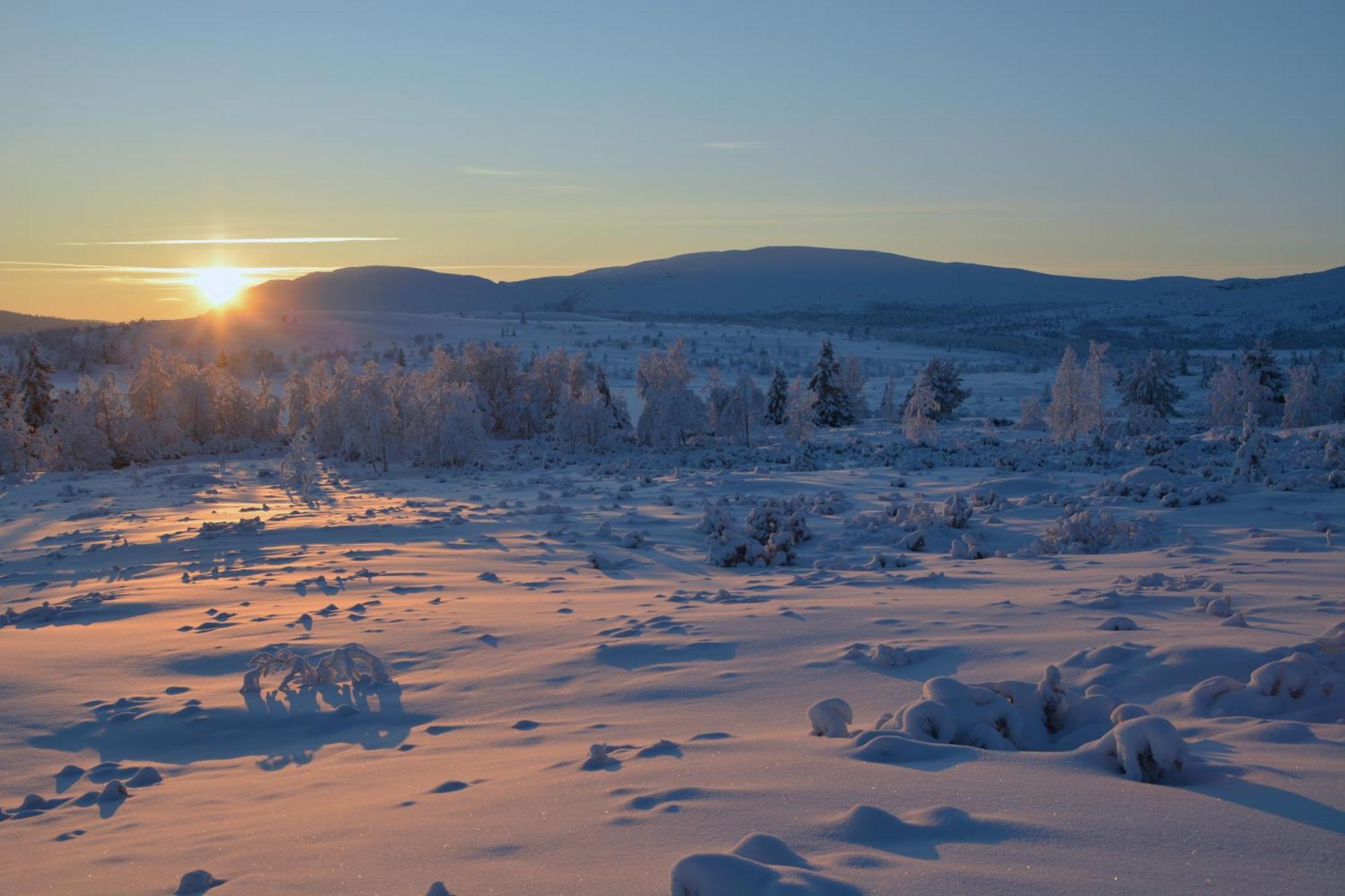 Spidsbergseter Resort Rondane Venabygd Esterno foto