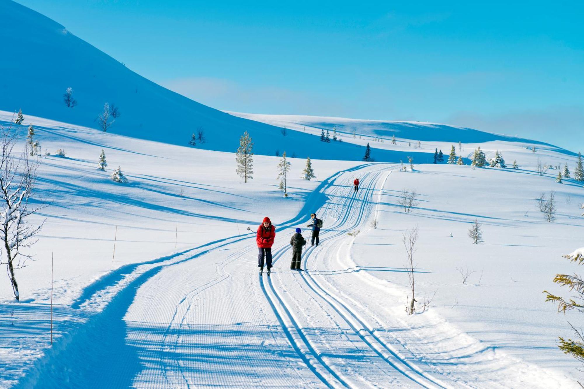 Spidsbergseter Resort Rondane Venabygd Esterno foto