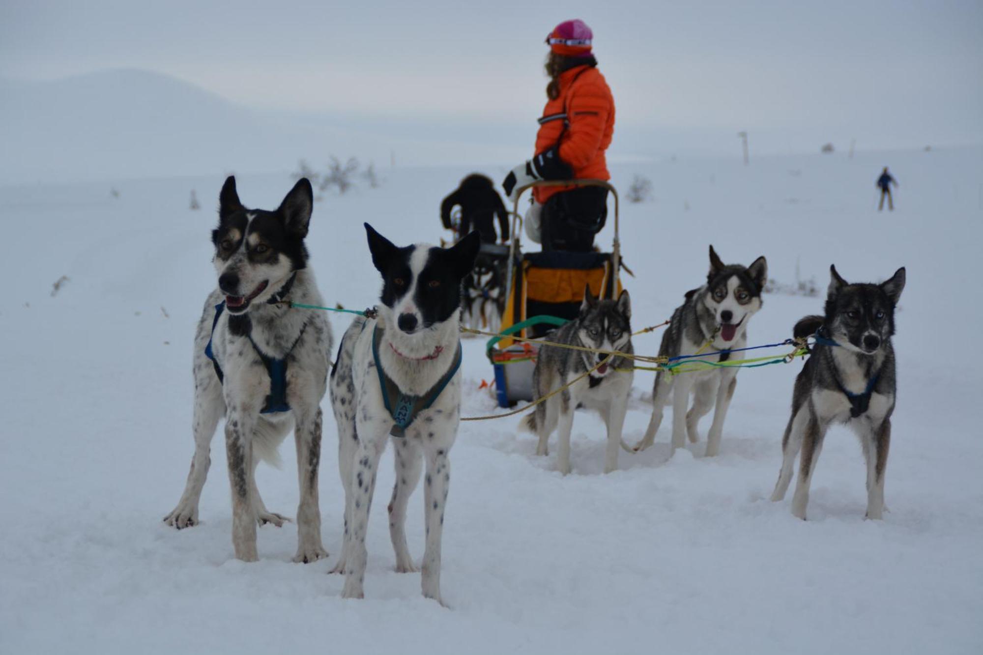 Spidsbergseter Resort Rondane Venabygd Esterno foto
